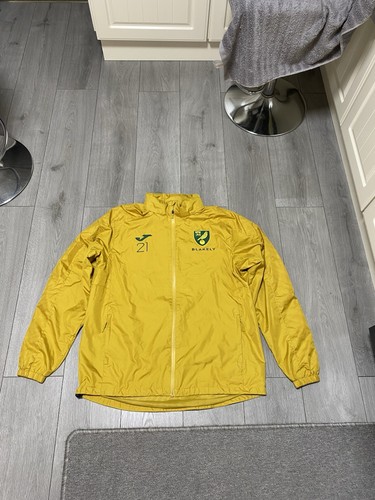 Norwich city match worn ali - norwich,