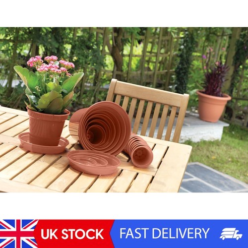 Pack large 15cm 6 - x,