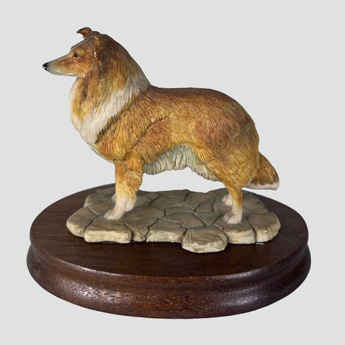 Shetland sheepdog sheltie - shetland,