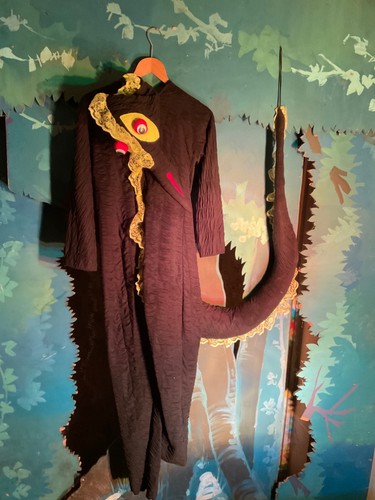 Pantomime costume wicked sea - pantomime,