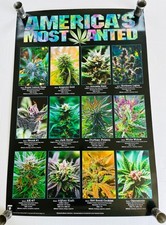 Americas Most Wanted Cannabis Large Wall Poster College Collection 24x36 inch