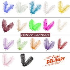 Large Ostrich Feathers Plume