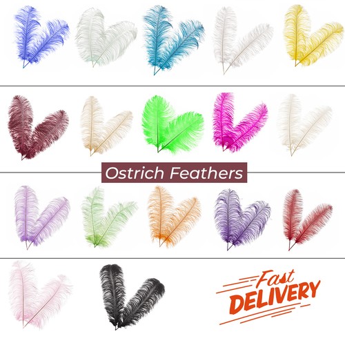 Large ostrich feathers plume - ostrich,