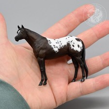 Black Blanket Appaloosa Stock