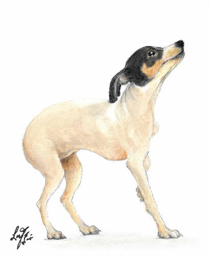 Original oil dog portrait - original,