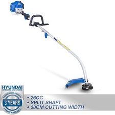 Petrol strimmer garden grass - garden,