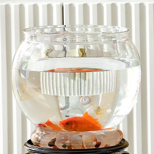 Fish bowl aquarium - fish,
