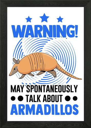 Armadillo gift framed - armadillo,