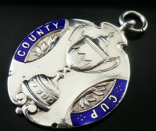 Large sterling silver enamel - silver,