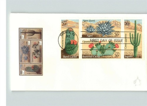 Cactus desert plants 4 - desert,