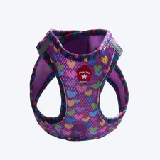 DOG CLOTHES, DOG BODY COLLAR