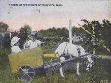 KIDS GOAT CART TRACY CITY