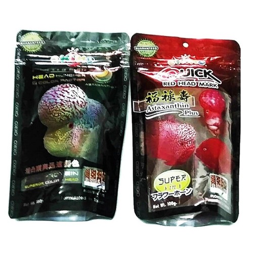 Okiko cichlid flowerhorn fish - cichlid,