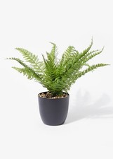 Potted artificial large fern - potted,