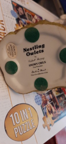 Danbury mint nestling owlets - nestling,