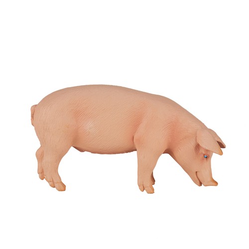 Mojo 387080 pig boar model - 387080,