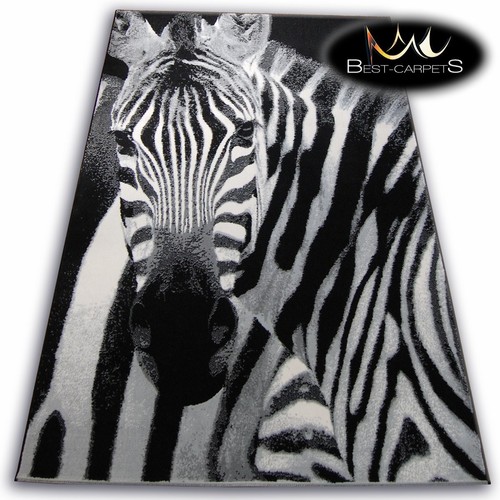 Original animal theme - original,