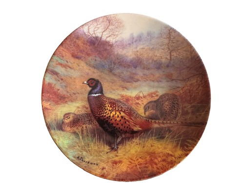 Pheasant autumn wood - pheasant, an