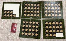 5 Full/ Partial Panes Tiffany