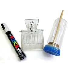 Queen Bee White 2026 Colour