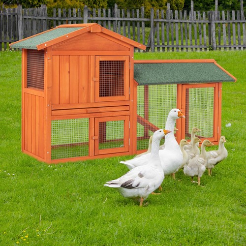 Wooden chicken coop hen - chicken,