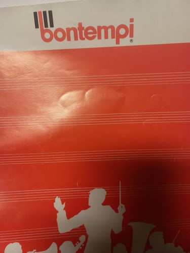 Bontempi b226 electronic organ - electronic,