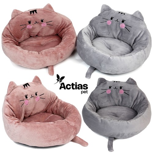 Cat kitten bed - bed, pet