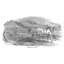NORWAY a Norwegian Carriole or Horse Drawn Carriage - Antique Print 1851