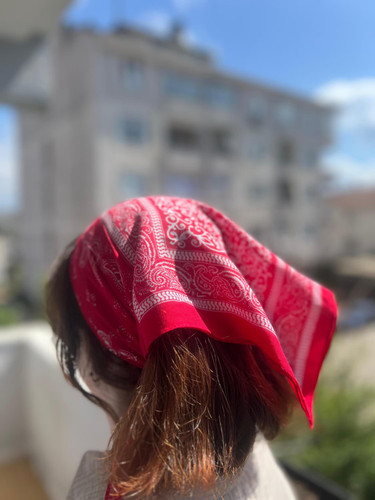 Red paisley bandana - paisley,