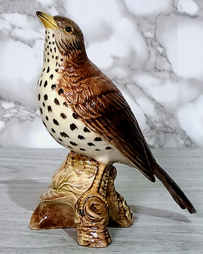 Beswick song thrush rare - beswick,