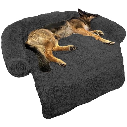 Cozy plush dog - plush,