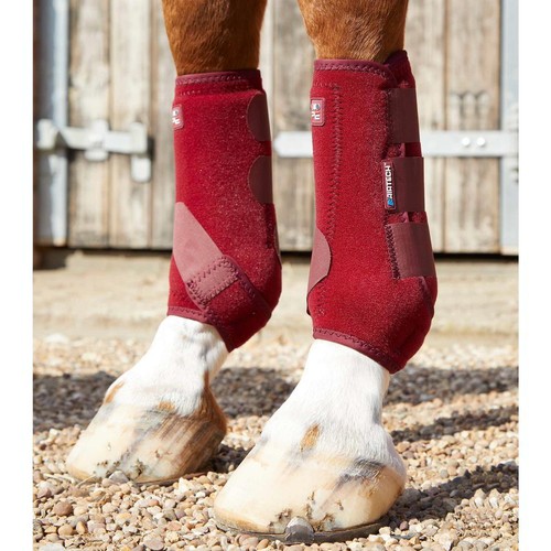 Premier equine airtech sports - equine,