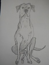 Original Pencil drawing sketch