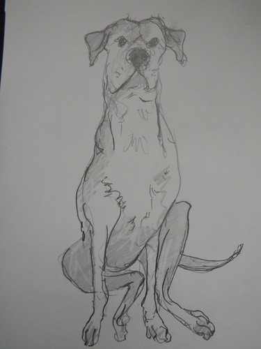 Original pencil drawing sketch - original,
