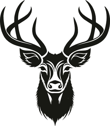 Extra large stag head - large,