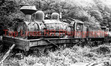 Mower Lumber Co #12 Shay Cass