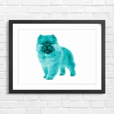 Fluffy Chow Chow Puppy