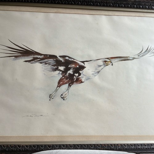Clive walker fish - fish, eagle