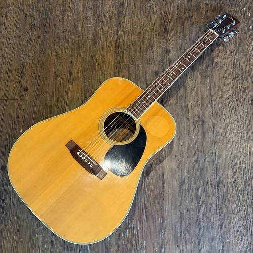 Takamine elite acoustic - takamine, tw-25
