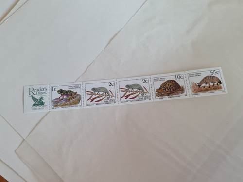 South africa animals - south,
