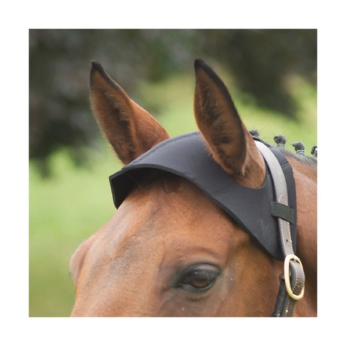 Equestrian poll guard - poll,