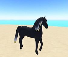 Wild Horse Islands V1 Friesian