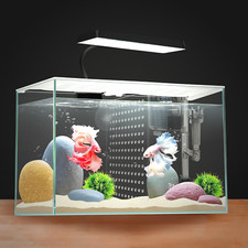 3 Gallon Nano Glass Aquarium