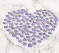 Pressed Forget-me-not Flower