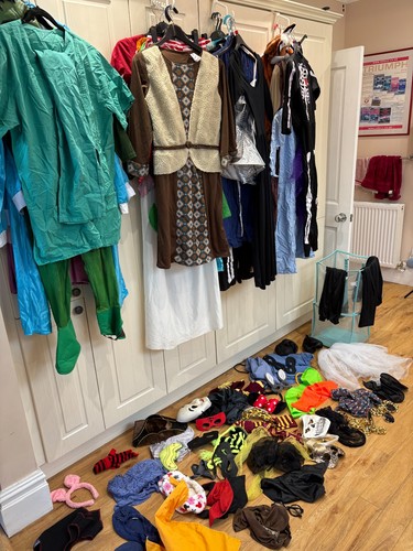 Huge fancy dress costume - huge,