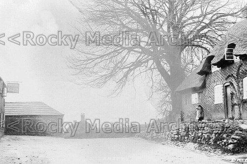Uue thatched cottage - thatched,