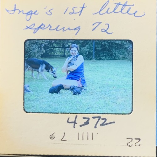 1972 35mm slide inge german - slide,