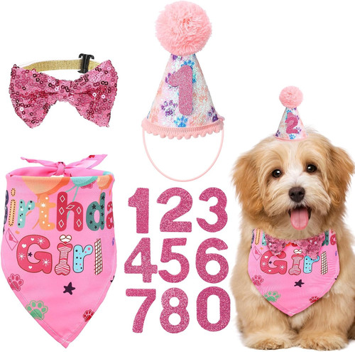 Dog birthday bandana - dog,