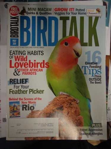 Bird talk magazine may - magazine,