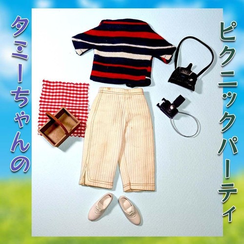 Tammy doll picnic - tammy, party